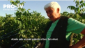 Un soi unic de nuci fara virusi a fost creat in Moldova. Iventia apartine unui agricultor din raionul Falesti, care in curand il va scoate in vanzare si deja a trezit interesul cumparatorilor de peste hotare - VIDEO