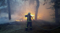 Opt morti, dupa ce zeci de incendii au izbucnit in Ucraina in apropierea zonei controlate de separatisti
