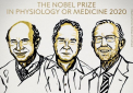 Sezonul premiilor Nobel din 2020 a fost deschis, in contextul pandemiei de COVID-19, de anuntarea premiului pentru medicina - VIDEO