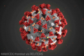 Coronavirus: SARS-CoV-2 se poate raspandi prin aer, au confirmat autoritatile sanitare americane