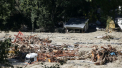 Inundatiile au maturat cadavrele din mai multe cimitire din Franta. Ramasitele ar fi ajuns pana pe malul italian al Mediteranei