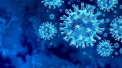 Ultima ora. Alte 929 cazuri noi de coronavirus - inregistrate in ultimele 24 ore