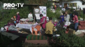 Cartoful a fost astazi vedeta la Criuleni, acolo unde s-a desfasurat festivalul Toamna Cartofului. Acolo au fost expuse mai multe soiuri, iar gospodinele au pregatit cele mai delicioase bucate din aceasta leguma - VIDEO