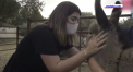 Terapie cu magari pentru medicii si asistentele din prima linie, care lupta cu pandemia in Spania - VIDEO