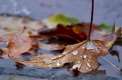 Cer noros cu maxime de pana la 18 grade se asteapta astazi in capitala. Cum va fi vremea in urmatoarele zile. Prognoza meteo - FOTO