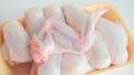 Pui cu superbacterii, in magazine. O analiza la nivel european ridica din nou problema folosirii antibioticelor in ferme