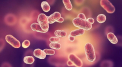O alta epidemie a izbucnit in China. Sunt deja peste 6000 de cazuri. Infectia poate sa dureze si un an