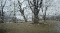 Nu uita umbrela, daca iesi din casa. Se asteapta un weekend cu ploi si maxime de pana la 8 grade in capitala. Cum va fi vremea pe intreg teritoriul tarii. Prognoza meteo - FOTO