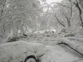 Iarna isi intra in drepturi: va ninge in urmatoarele zile, iar temperaturile coboara. Cum va fi vremea. Prognoza meteo - FOTO