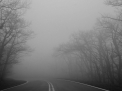 Codul galben de ceata ramane in vigoare. Va ploua pe intreg teritoriul tarii. Prognoza meteo - FOTO