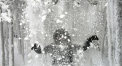 Vremea se schimba. Vin ninsorile. Vezi unde va ninge - FOTO