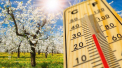 Cum va fi vremea de Paste in Moldova. Prognoza meteo