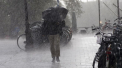 In iunie vor fi mai multe zile ploioase decat senine. Asa o vara a mai fost acum 20 de ani, spun meteorologii - FOTO