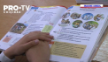 Fenomenul bullying ia aploare atat in tara noastra, cat si in intreaga lume. Potrivit specialistilor, 70 la suta dintre tineri devin victimele bullyingului, iar agresiunea, de cele mai multe ori vine din familie - VIDEO 