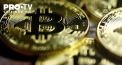 Pelliron 13.07.2021: Numarul Bitcoin detinut la bursele centralizate a scazut in mod constant de la sfarsitul lunii mai