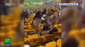 Cativa fani si-au impartit pumni si picioare, in timpul unui meci de baseball din Statele Unite - VIDEO
