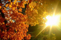 Temperaturi ca in mijloc de vara - in acest weekend. Ce anunta meteorologii 