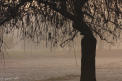 Cum va fi vremea astazi, dar si in urmatoarele zile. Prognoza meteo - FOTO
