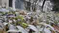 Cer variabil si temperaturi minime de pana la -3 grade Celsius. Cum va fi vremea astazi, dar si in urmatoarele zile. Prognoza meteo - FOTO