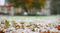 Meteorologii anunta ca in aceasta saptamana vom avea parte de ninsori. Cand vor cadea primii fulgi