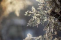 Cum va fi vremea astazi, dar si in urmatoarele zile. Prognoza meteo - FOTO