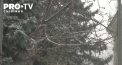 Vine frigul in Moldova. Vom avea temperaturi de pana la minus 10 grade - VIDEO