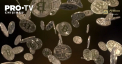 Pelliron 22.12.2021: Dupa interdictia de minerit din China, minerii locali genereaza in continuare pana la 20% din totalul retelei de criptomonede 