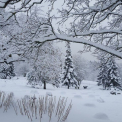 Cum va fi vremea astazi, dar si in urmatoarele zile. Prognoza meteo - FOTO