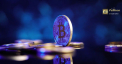 Pelliron 04.01.2022: Autoritatile indiene au identificat o incalcare a legilor fiscale la schimbul de criptomonede WazirX, detinut de Binance - VIDEO
