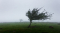 Codul galben de vant puternic a intrat in vigoare. Ce temperaturi ne asteapta astazi. Prognoza meteo - FOTO