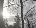 Cum va fi vremea astazi, dar si in urmatoarele zile. Prognoza meteo - FOTO