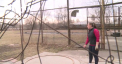 Ministerul Educatiei nu a semnat inca planul de activitate al Federatiei de Atletism din Moldova. Atletii spun ca sunt nevoiti sa desfasoare cantonamente de pregatire peste hotare din bani proprii sau pe datorii - VIDEO