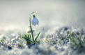 Vremea se incalzeste usor. Ce temperaturi ne asteapta astazi, dar si in urmatoarele zile - FOTO