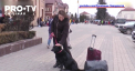 Inghesuiti in subsoluri si statii de metrou, ucrainenii care se ascund de bombardamente gasesc loc si pentru animalele de companie. Oamenii spun ca nu le vor lasa nici in aceste timpuri grele - VIDEO