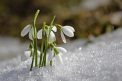 Cum va fi vremea astazi, dar si in urmatoarele zile. Prognoza meteo - FOTO