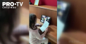 Din diferite colturi ale Europei, elevii ucraineni reusesc sa-si gaseasca profesorii si sa-si continue studiile ...online - VIDEO