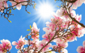 Temperaturi de pana la +23 grade Celsius. Cum va fi vremea astazi, dar si in urmatoarele zile. Prognoza meteo - FOTO