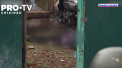 O fata de 14 ani este insarcinata, dupa ce a fost violata de cinci barbati, iar un baietel de 11 ani a fost si el violat, in fata mamei legate de scaun. Totul s-a intamplat in Bucha, suburbie a Kievului - VIDEO
