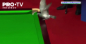 Un porumbel a intrerupt un meci de la Campionatul Mondial de snooker - VIDEO