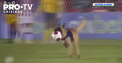 Un meci de fotbal din Brazilia a fost intrerupt de un caine politist - VIDEO