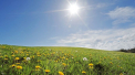 Soare si maxime de pana la 22 grade Celsius. Cum va fi vremea astazi, dar si in urmatoarele zile. Prognoza meteo - FOTO