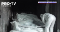 In timp ce rusii sarbatoreau Ziua Victoriei prin organizarea unei demonstratii a fortelor lor militare, un material realizat de Al Jazeera arata sacii cu cadavrele soldatilor rusi depozitati in vagoane de tren frigorifice - VIDEO
