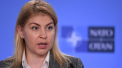 Vicepremierul ucrainean: NATO a invatat din greseli. Speram ca si cererea de aderare a Ucrainei va fi luata repede in considerare