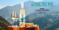 «Casa Petru» - Primul producator de vinuri Alcohol-Free din tarile CSI!