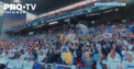 Fanii gruparii FC Copenhaga au respectat o traditie veche de 18 ani. In timpul ultimului meci din campionatul de fotbal al Danemarcei, suporterii au aruncat pe teren mii de jucarii gonflabile - VIDEO