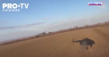 Momentul in care elicopterele Mi-8 aterizeaza in Mariupol dupa ce au zburat la altitudine joasa pentru a evita sistemele antiaeriene rusesti - VIDEO