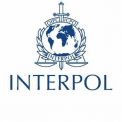 Interpolul, preocupat de afluxul de arme donate Ucrainei care ar putea ajunge in mainile infractorilor din Europa