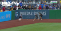 O partida de baseball din liga majora a Statelor Unite a fost intrerupta din cauza unei veverite - VIDEO