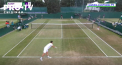 Radu Albot s-a calificat pe tabloul principal de la Wimbledon - VIDEO