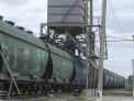 Exporturile de cereale ucrainene prin Romania. De ce peste 6.000 de vagoane asteapta sa fie descarcate
